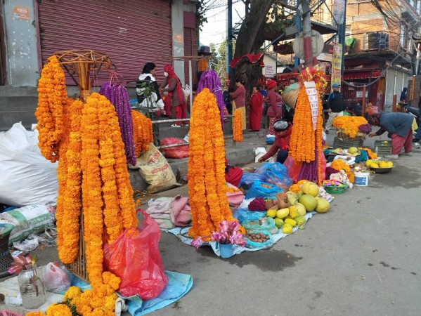 तिहारको दोस्रो दिन कुकुर तिहार, लक्ष्मी पूजा पनि आजै 